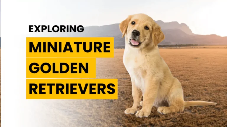 Exploring Miniature Golden Retriever: A Guide to Mini Goldens