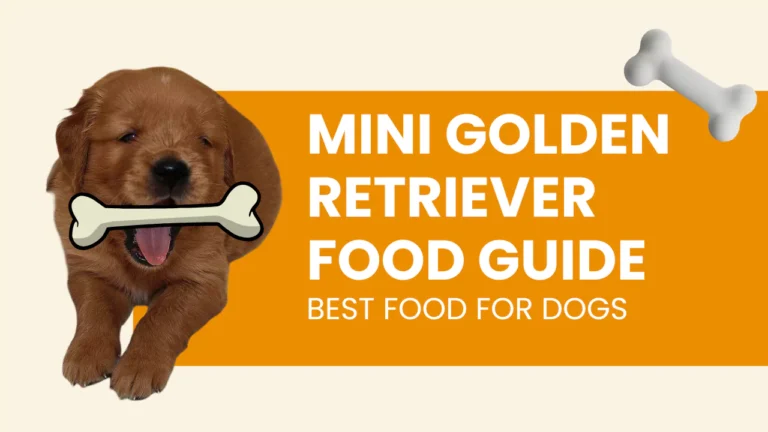 Mini Golden Retriever Feeding Guide: Best Food & Nutrition Tips for Puppies